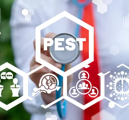 Effective Commercial Pest Control in Amarillo, TX: Safeguarding Your Business from Infestations