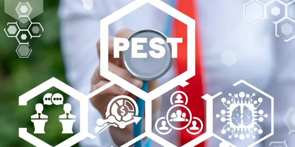 Effective Commercial Pest Control in Amarillo, TX: Safeguarding Your Business from Infestations